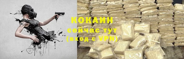 дмт Белокуриха