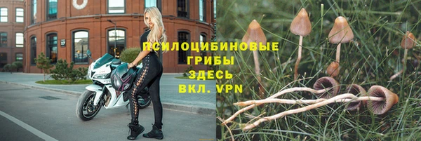 каннабис Беломорск