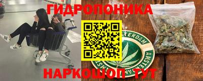 ПСИЛОЦИБИНОВЫЕ ГРИБЫ Лесосибирск